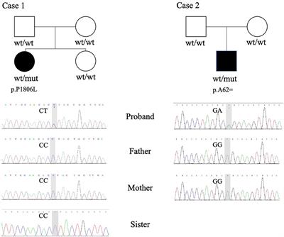 Case Report: De novo Variants of KMT2E Cause O'Donnell-Luria-Rodan Syndrome: Additional Cases and Literature Review